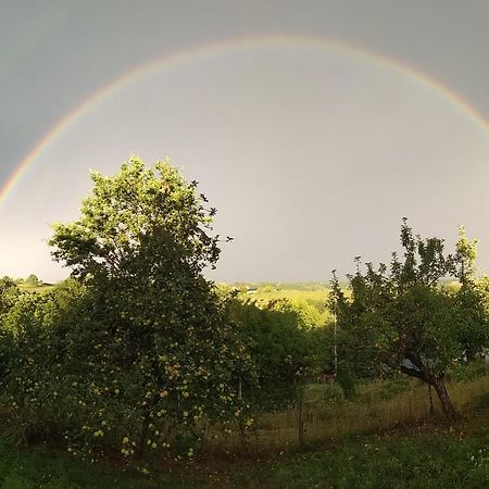 Biohof Koller Villa Weichselbaum Luaran gambar