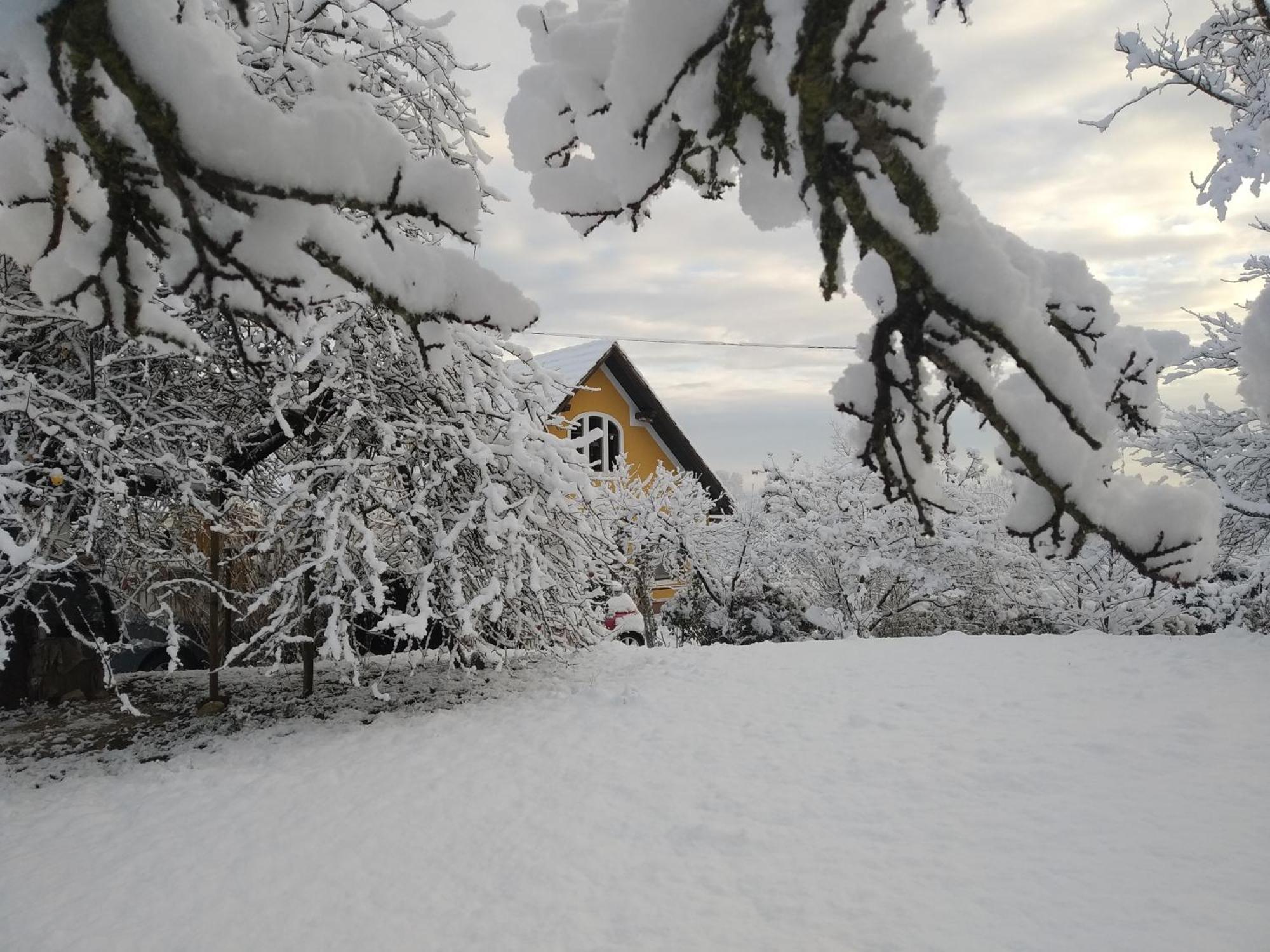 Biohof Koller Villa Weichselbaum Luaran gambar