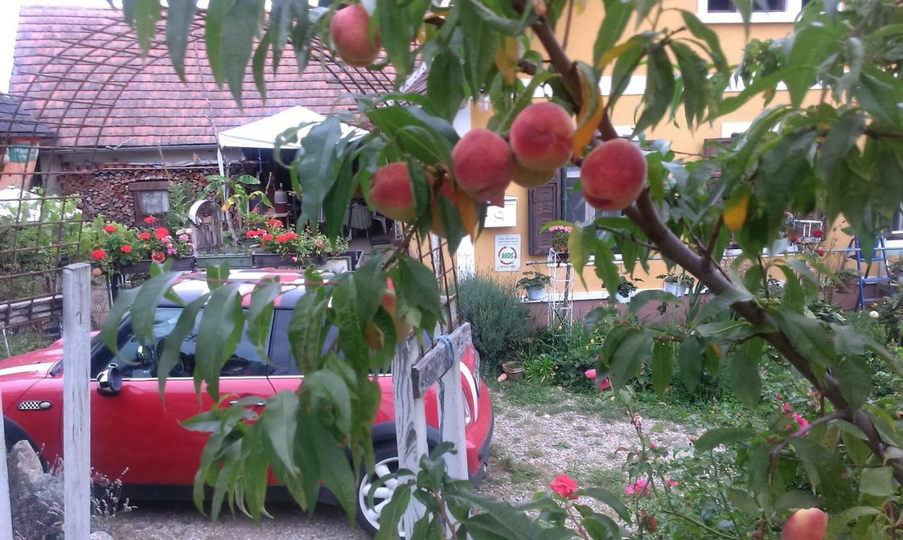 Biohof Koller Villa Weichselbaum Luaran gambar